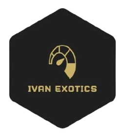 Luxury Car Rentals in New York | Ivan Exotics
